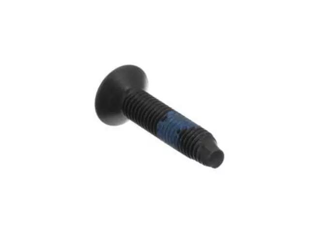 Striker Screw - Ford (W710881-S900)
