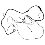 LL3Z14334BD - : Wiring Assembly for Ford Image
