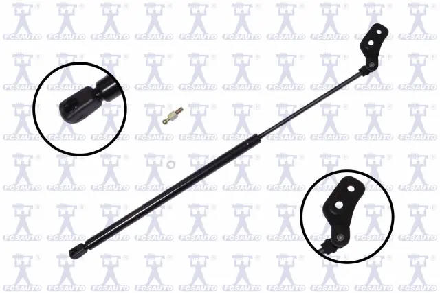 84832 - Exterior: Liftgate Lift Support for Focus Auto Parts Image
