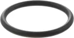 210493Z000 - : Engine Coolant Pipe O-Ring for Nissan: Altima, Murano, Pathfinder, Rogue, Sentra Image