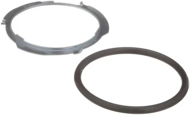 FA10028 - Air Intake &amp; Fuel Delivery: Delphi Fuel Tank Lock Ring for DELPHI Image