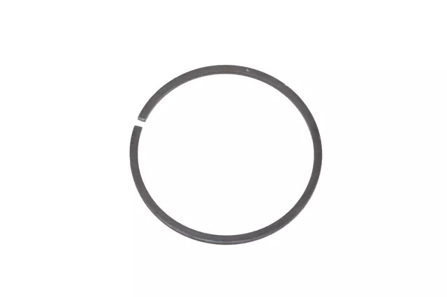 84962841 - : F (S)Ring for GM Image