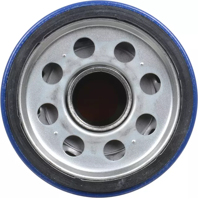 Filter - GM (12737086)