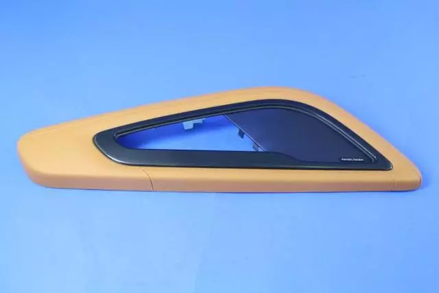 5QZ17LK5AA - Body: Door Armrest for SRT: Viper Image