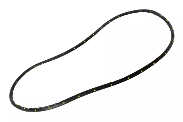 84136386 - : Front Driver Side Door Weatherstrip for GM Image