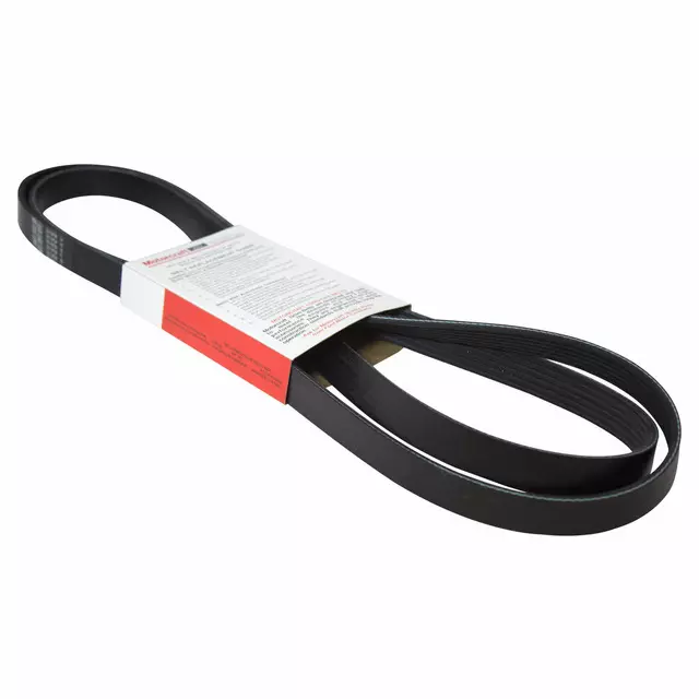 XL2Z8620DA - : Serpentine Belt for Ford: Explorer, Ranger Image