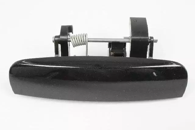 Exterior Door Handle, Right - Mopar (1MZ80LXTAG)