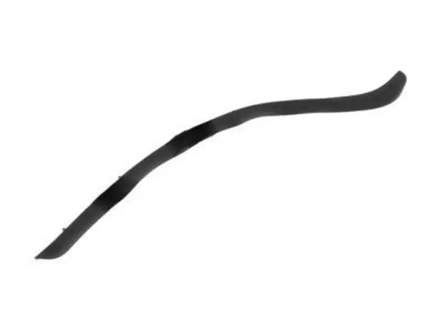 Weather-Strip On Body - Ford (DS7Z-5420708-B)