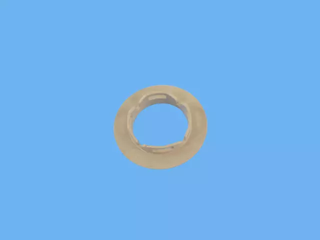 Dome Lamp Bezel - Mopar (6BT38BD1AA)