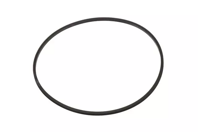 15969051 - : Transfer Case Seal for GM Image