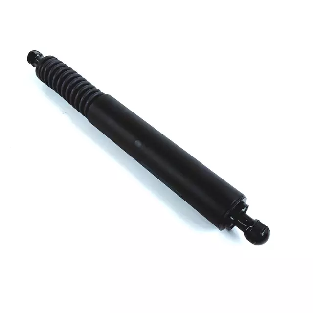 Support Cylinder - Volkswagen (7L6-827-550-N)