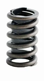 ERV880 - : Engine Valve Spring for Enginetech Image