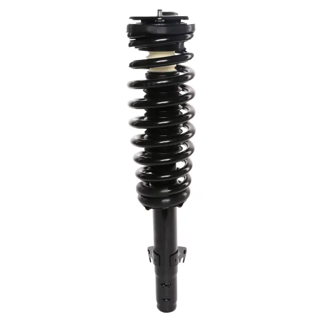 816753 - : PRT 816753 Suspension Strut and Coil Spring Assembly for PRT PERFORMANCE RIDE Image