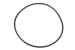 24043356 - Transmission: 1-3-5-6-7 Clutch Piston Dam Seal for ACDelco Image