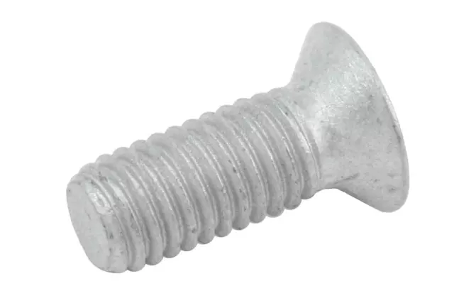 Brake Rotor Bolt - GM (11609271)