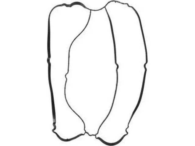 Valve Cover Gasket - Ford (YS4Z-6584-BA)