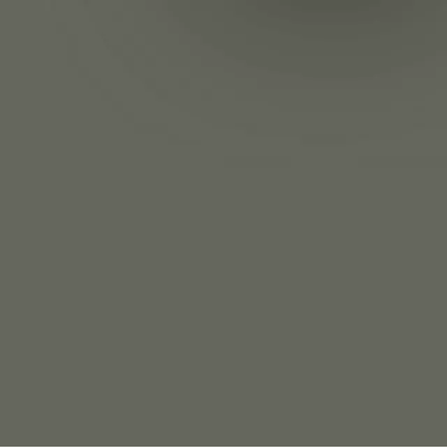 19367919 - : Gunmetal Metallic (WA368M) Four-In-One Touch-Up Paint - .5 oz Pen for GM Image