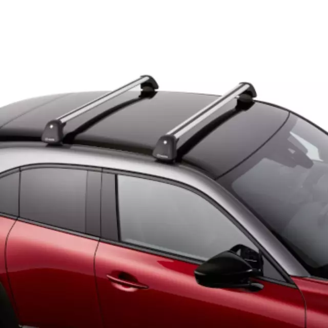 DN4JV3840A - Cargo Management: Roof Rack, Crossbars for Mazda: MX-30 EV Image