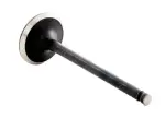 IM2836 - : Engine Intake Valve for Enginetech Image