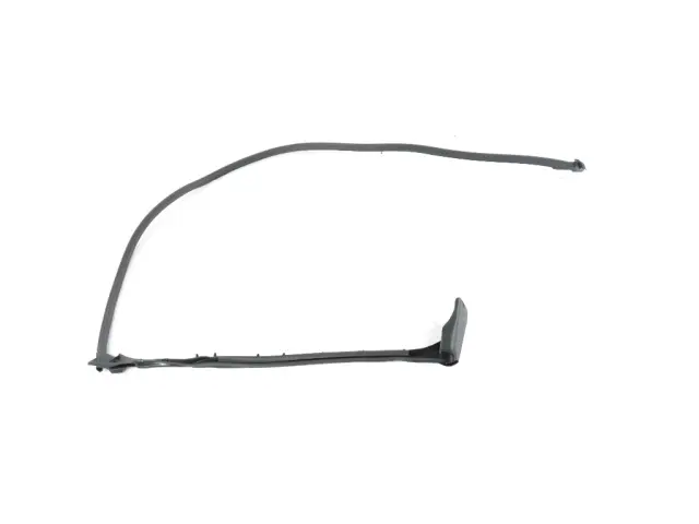 Cargo Door Weatherstrip - Mopar (68229641AD)