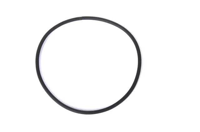 25995451 - : Vapor Canister Filter O-Ring for GM Image