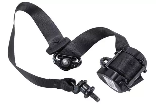 19355565 - Electrical: Outer Belt Assembly for GM Image