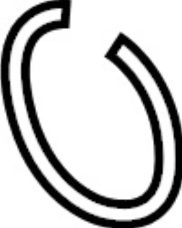 383005NA0A - Universals &amp; Rear Axle: Carrier for INFINITI: QX50, QX55 Image