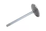 12605223 - : LSA Intake Valve for Cadillac: CTS | Chevrolet: Camaro Image