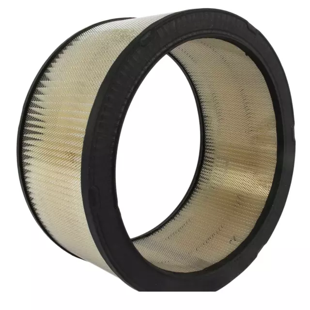 Element Assembly Air Cleaner - Ford (QFA-107)