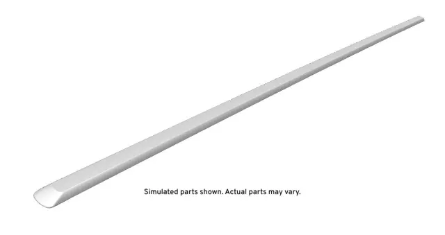 15234562 - Body: Body Side Molding for GM Image image