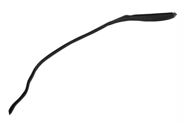 84476231 - : Passenger Side Door Window Belt Weatherstrip for Chevrolet: Blazer Image