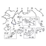 LX6Z9G297B - : Canister Hose for Ford Image