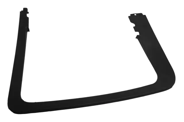 Rear Driver Side Door Window Garnish Molding - GM (52020392)