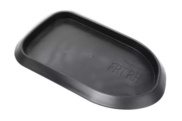 Access Cover - GM (84847704)