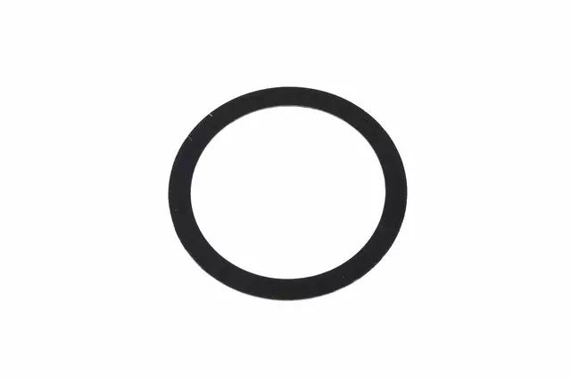 Exhaust Gas Recirculation (EGR) Valve Seat Gasket - GM (55577389)