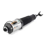 AS3127 - : Arnott Air Suspension Strut for Arnott Image