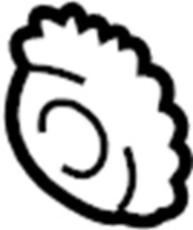 1302131U01 - Engine: Crankshaft Gear for INFINITI: I30, QX4 Image