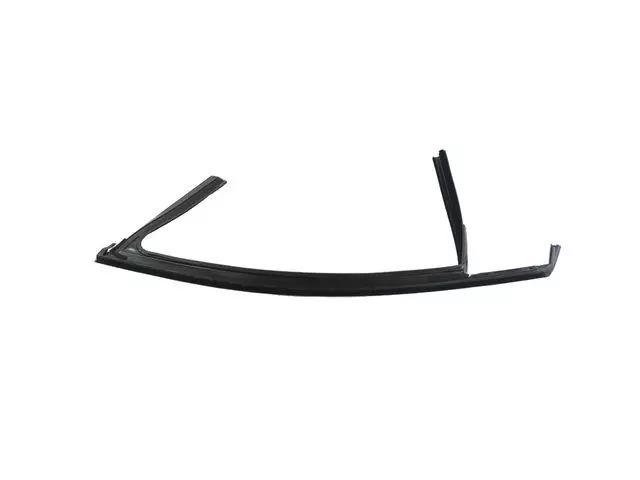 Front Door Glass Run, Right - Mopar (68144954AE)