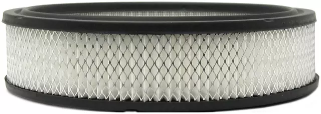 729907 - Maintenance &amp; Lubrication: Air Filter for Chevrolet: S10, S10 Blazer | GMC: Jimmy S15, S15 Image