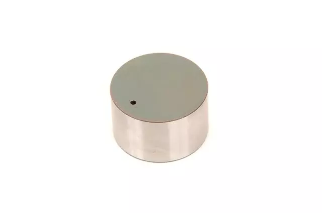 19317392 - : Engine Hydraulic Valve Adjuster/Valve Lifter for Chevrolet: City Express Image