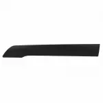DT1Z6120879BB - : Body Side Molding for Ford: Transit Connect Image