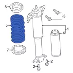 PR3Z5560E - : Coil Spring for Ford: Mustang Image