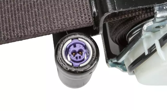 84494054 - Electrical: Outer Belt Assembly for Cadillac: Escalade, Escalade ESV | Chevrolet: Silverado 1500, Tahoe | GMC: Sierra 1500, Yukon Image