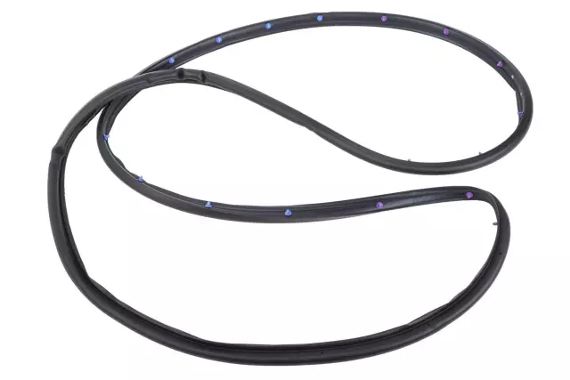 84011070 - Body: Door Weather-strip for Buick: Envision Image