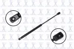 86314 - : Focus Auto Parts Hood Lift Support for Focus Auto Parts Image
