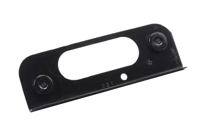 10341237 - Body: Hinge Mount Plate for GM Image