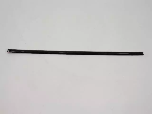 Rear Door Molding - Mopar (1DH74AXRAB)