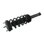 853114 - : 95-99 Nissan Maxima Suspension Strut and Coil Spring Assembly  - Rear for GSP Image