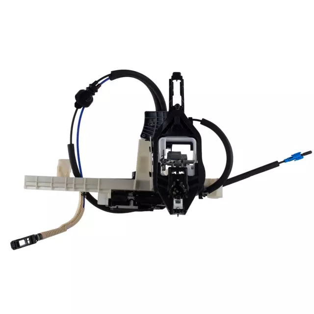 Latch Assembly - Ford (NL3Z-15219A65-C)