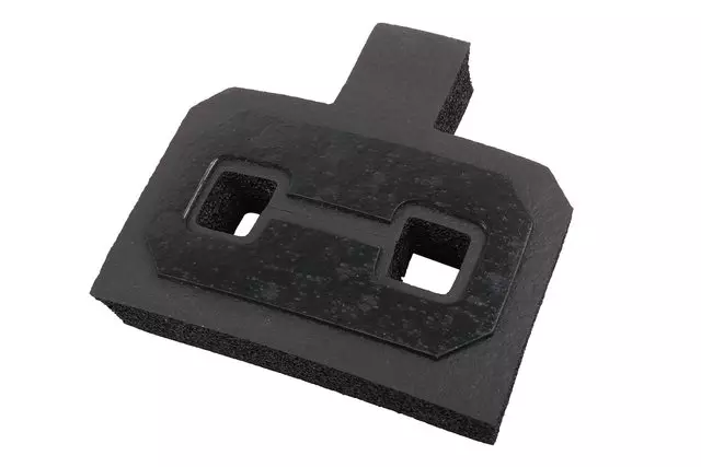 Access Cover - GM (22972543)